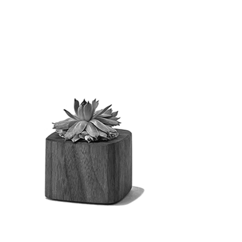 shop-list-gallery-6-img-1 a