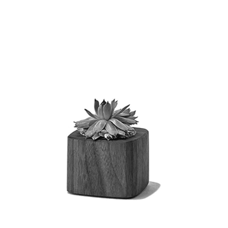 shop-list-gallery-6-img-2 a